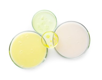 Photo of Petri dishes with different liquid samples on white background, top view