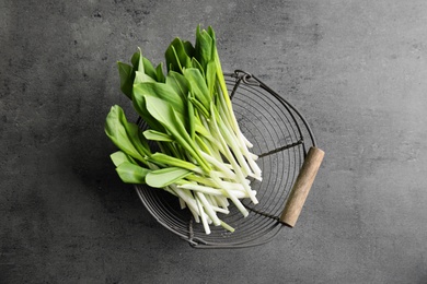 Photo of Basket with wild garlic or ramson on grey table, top view