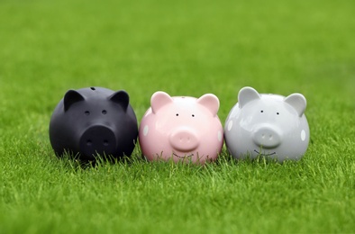 Different piggy banks on green grass outdoors