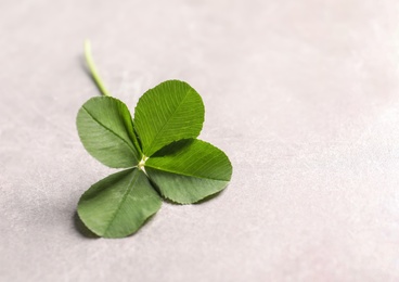 Photo of Green four-leaf clover on light background with space for text