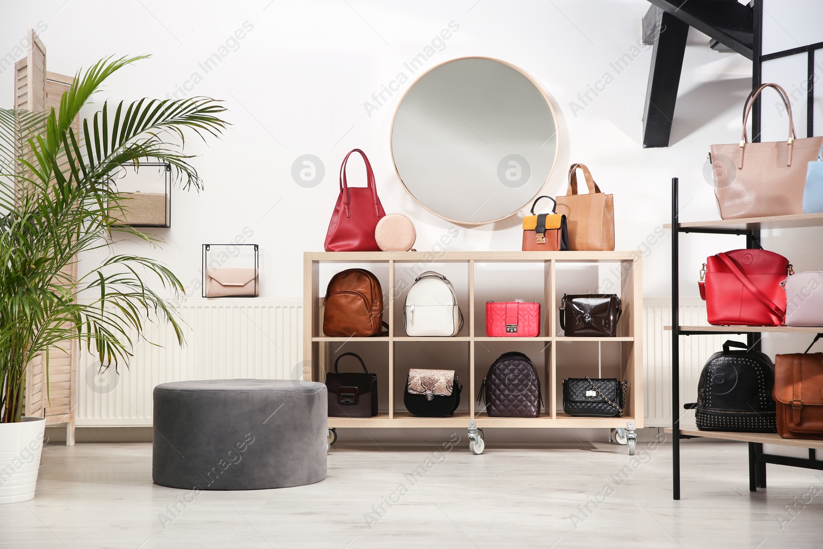 Photo of Collection of stylish woman's bags in modern store