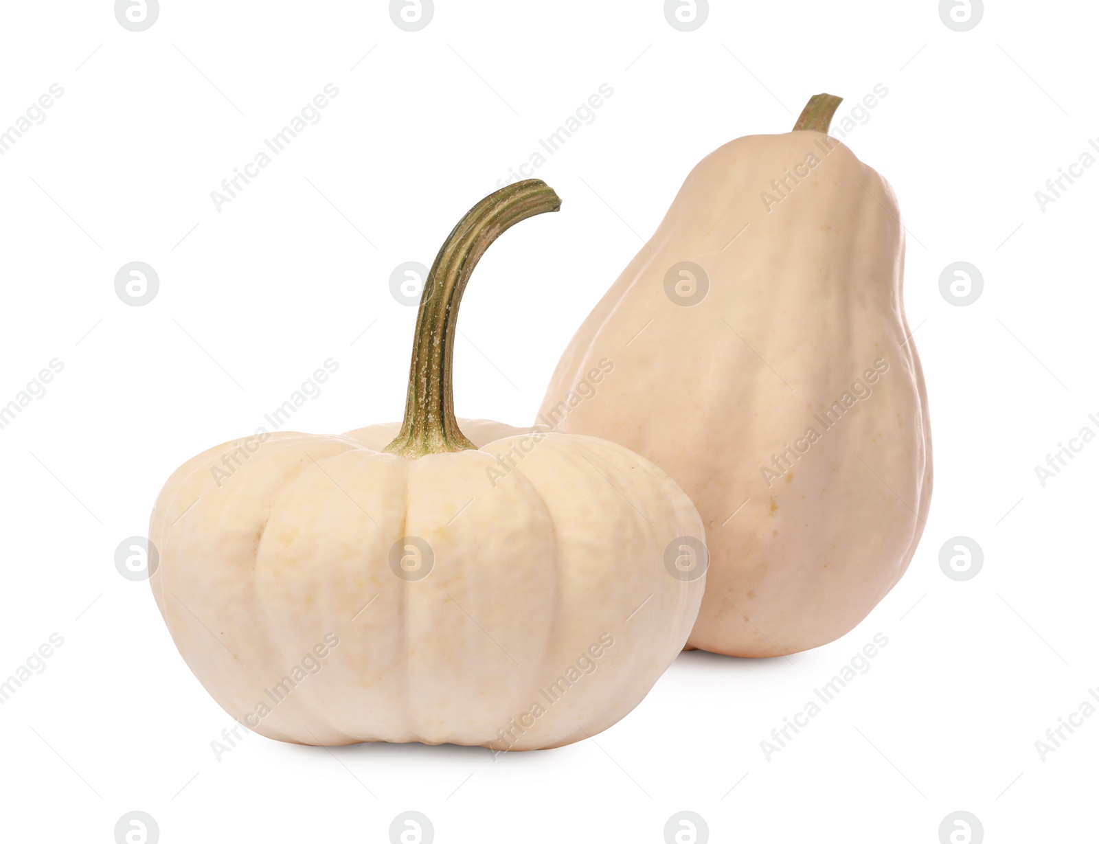 Photo of Two ripe beige pumpkins isolated on white