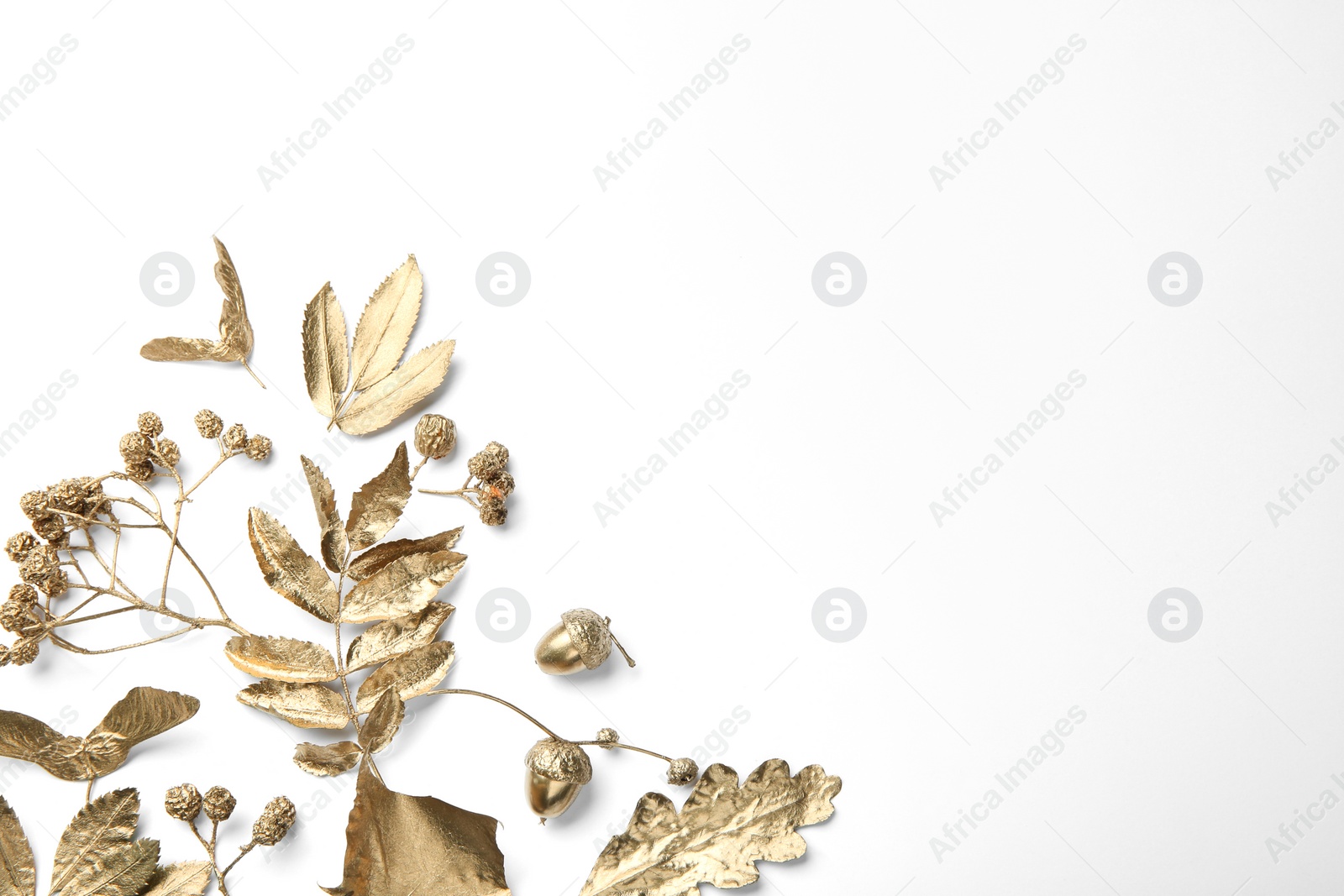 Photo of Beautiful golden leaves, berries and acorns on white background, flat lay with space for text. Autumn decor
