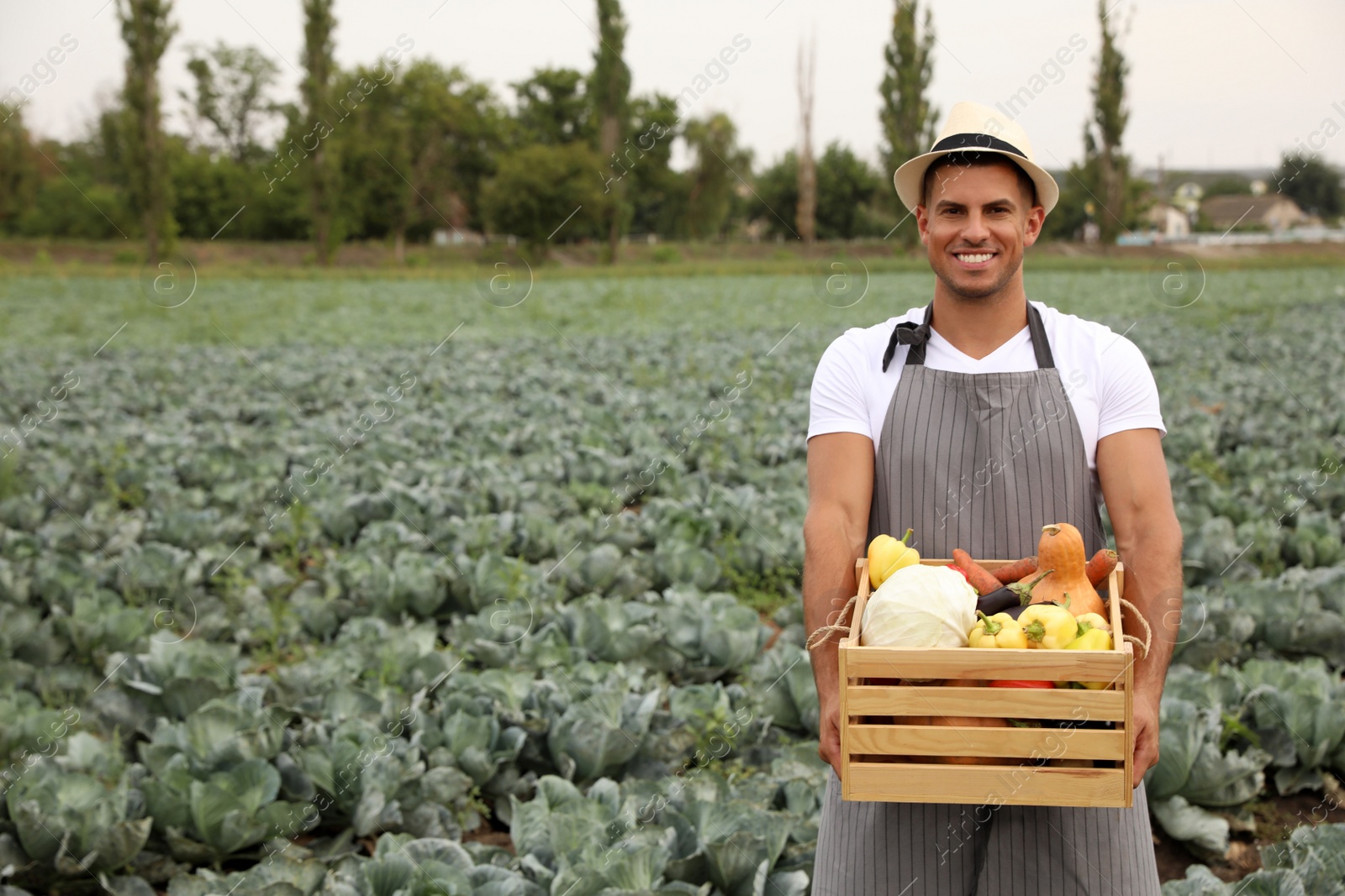 Photo of Farmer with wooden crate full of different vegetables in field. Harvesting time