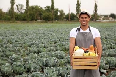 Farmer with wooden crate full of different vegetables in field. Harvesting time