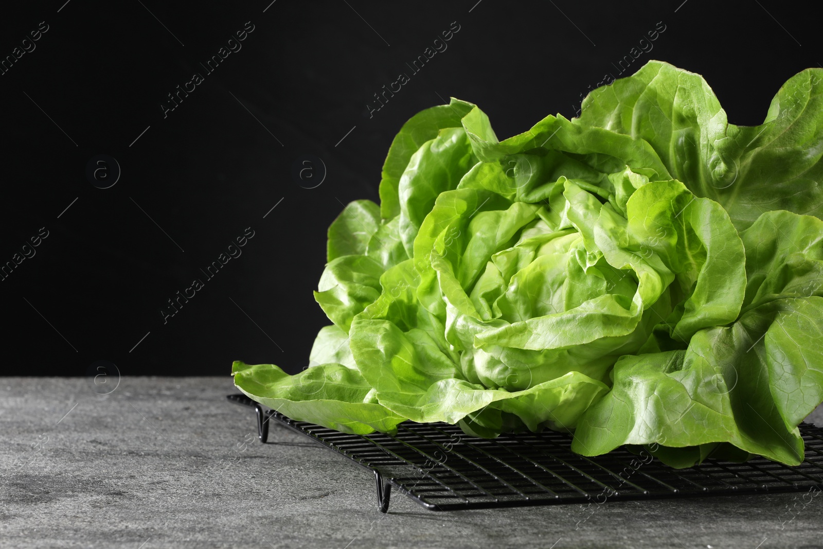 Photo of Fresh green butter lettuce on grey table, space for text