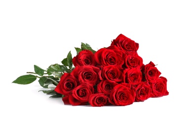 Photo of Beautiful red rose flowers on white background