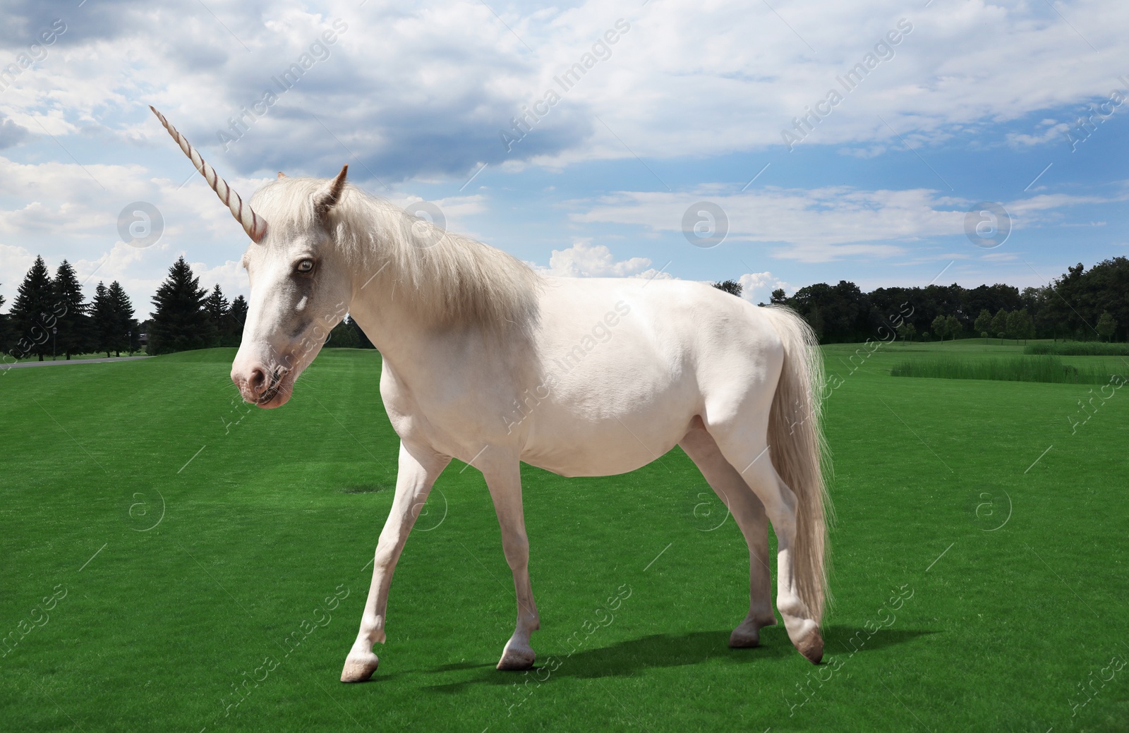 Image of Amazing unicorn with beautiful mane in field 