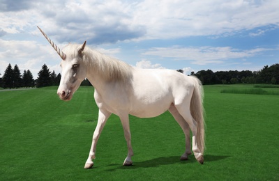 Image of Amazing unicorn with beautiful mane in field 