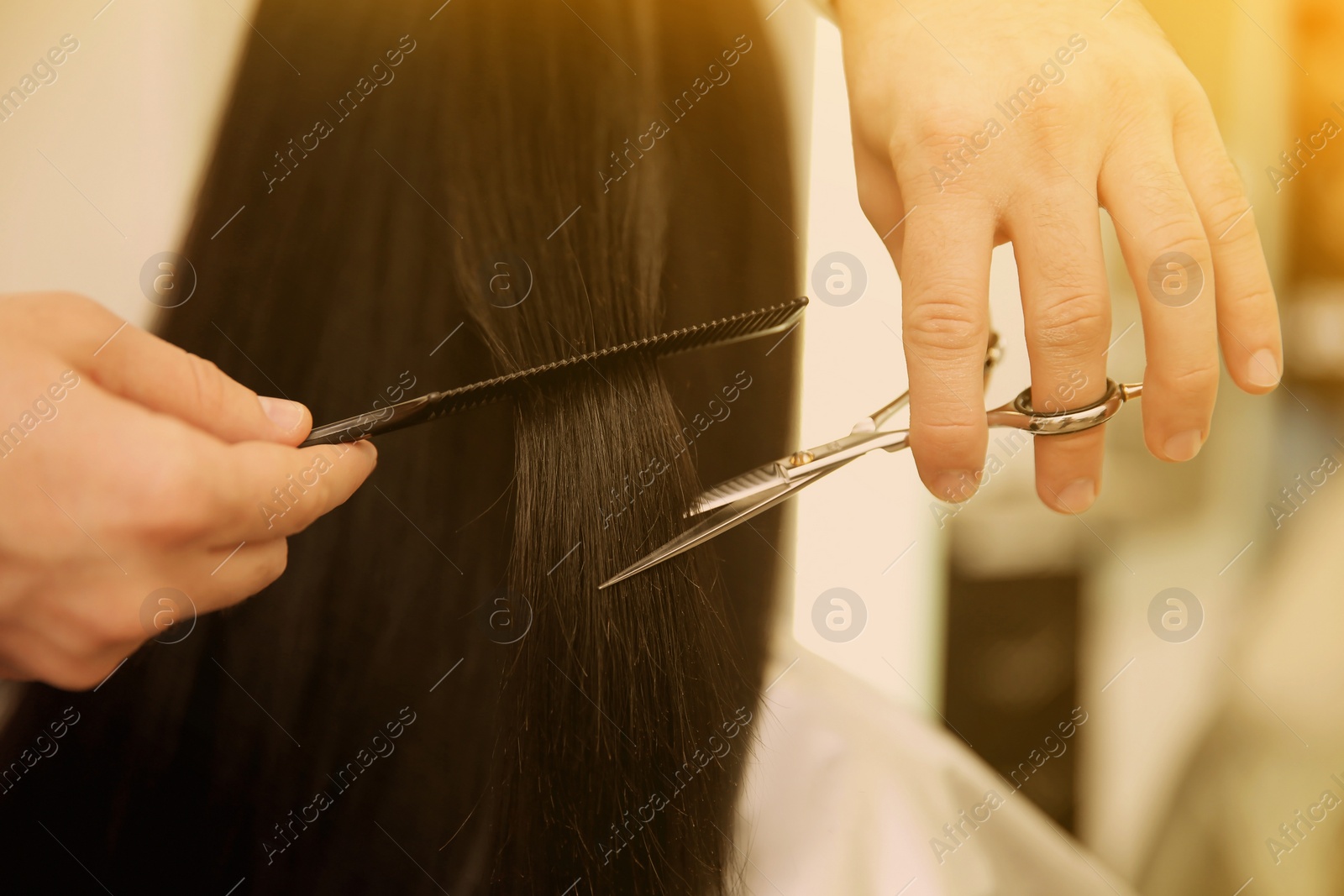 Image of Professional male hairdresser working with client in salon