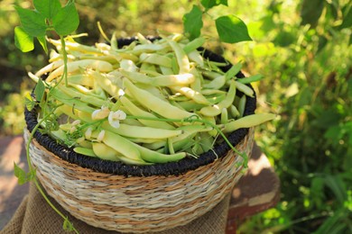 Photo of Wicker basket with fresh green beans on wooden stool in garden