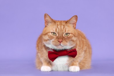 Photo of Cute cat with red bow tie on lilac background