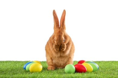 Photo of Cute bunny and Easter eggs on green grass against white background