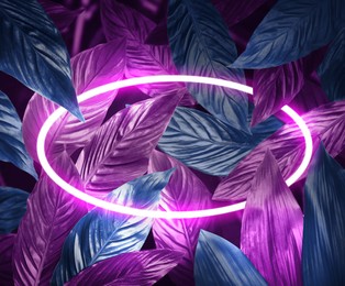Image of Bright tropical leaves and glowing neon frame