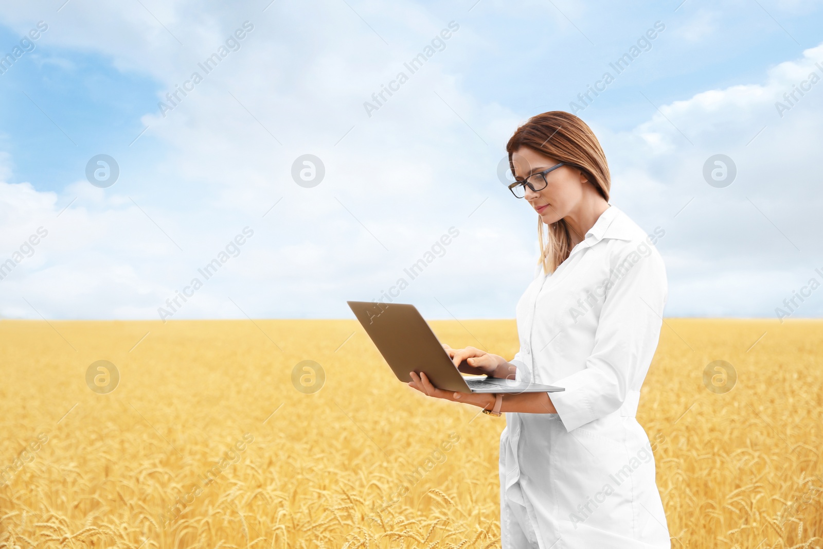 Photo of Young agronomist with laptop in grain field. Cereal farming