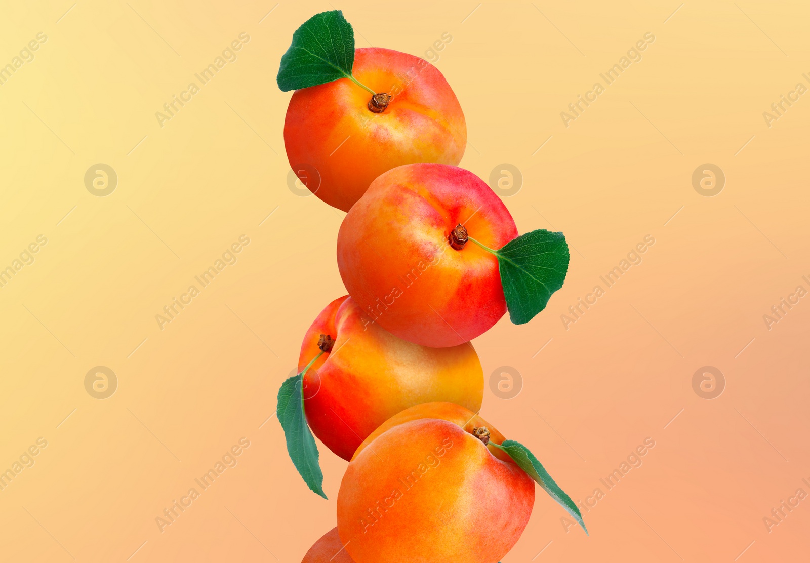 Image of Stack of fresh ripe apricots on yellow coral gradient background