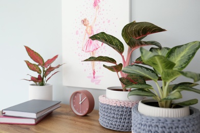 Different exotic houseplants on table in room