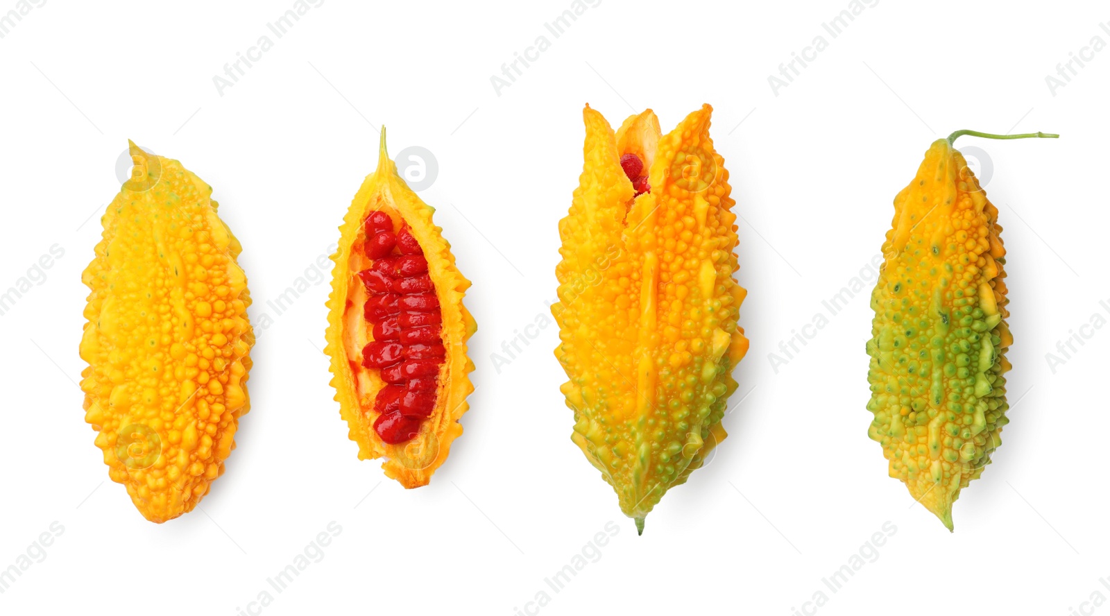 Photo of Whole and cut ripe bitter melons on white background, top view