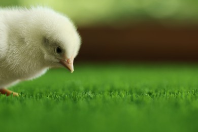 Photo of Cute chick on green artificial grass outdoors, closeup with space for text. Baby animal