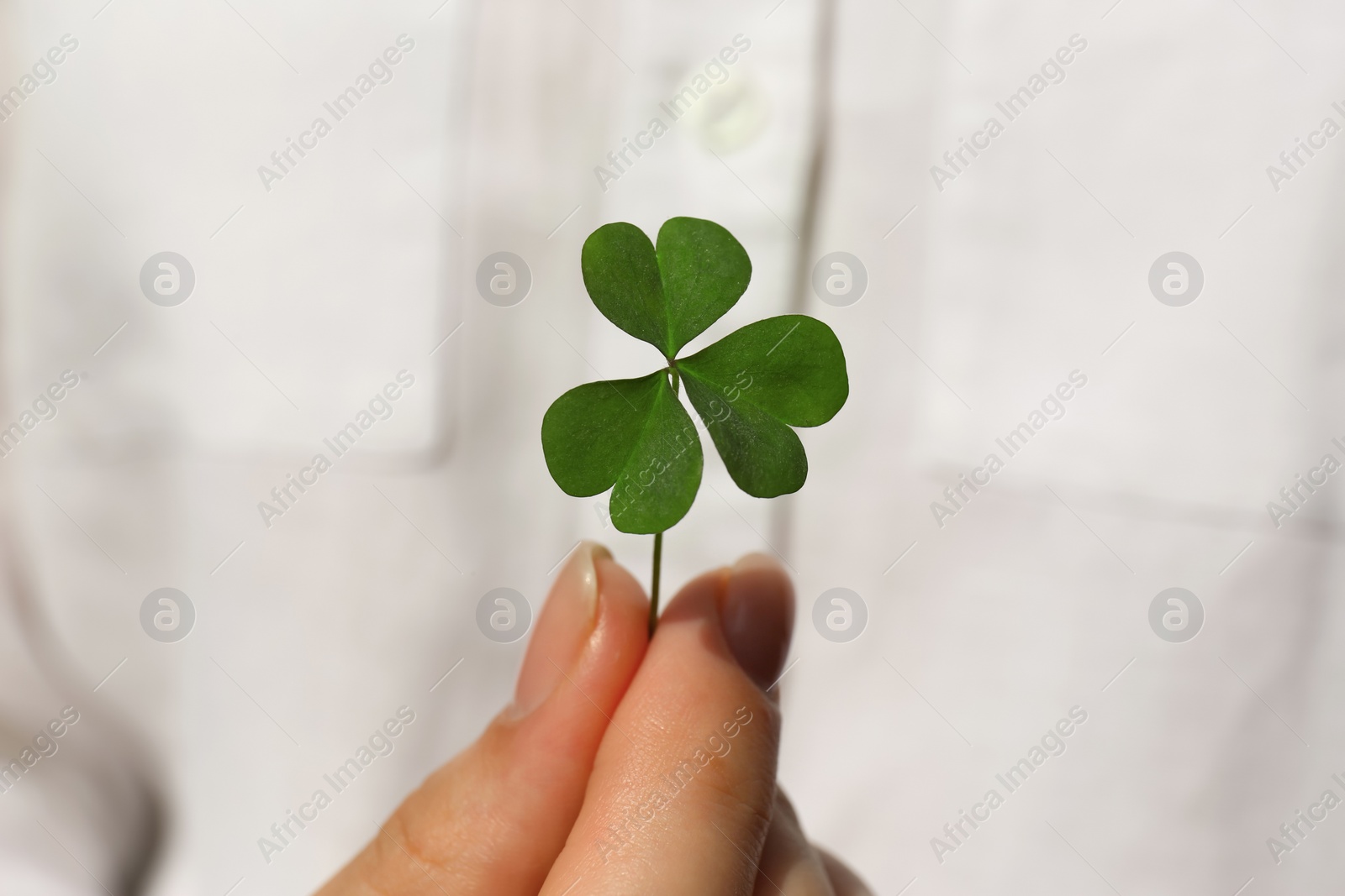 Photo of Woman holding green clover leaf, closeup view