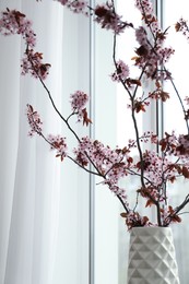 Photo of Blossoming tree twigs in vase near window, closeup