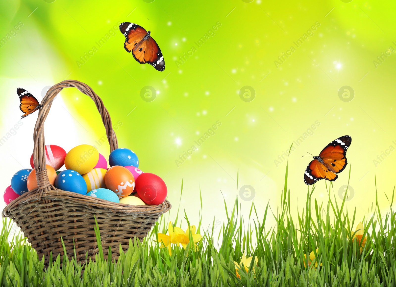 Image of Easter eggs in wicker basket on green grass and butterflies against blurred background