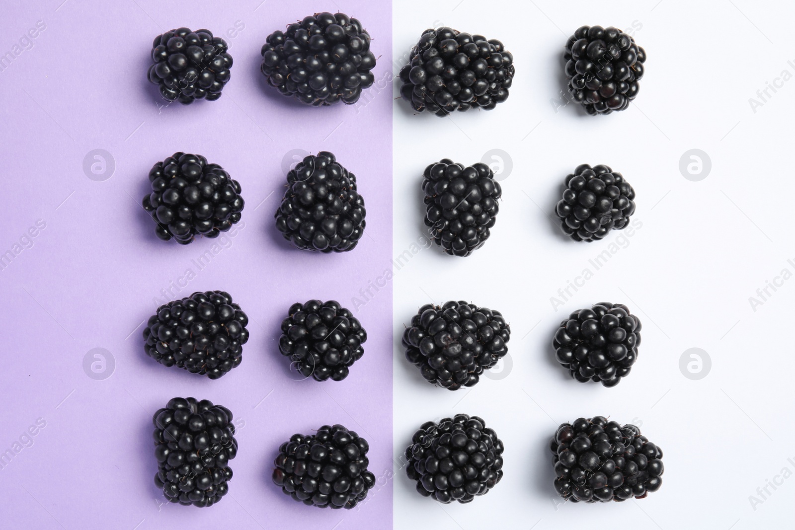 Photo of Flat lay composition with ripe blackberries on color background