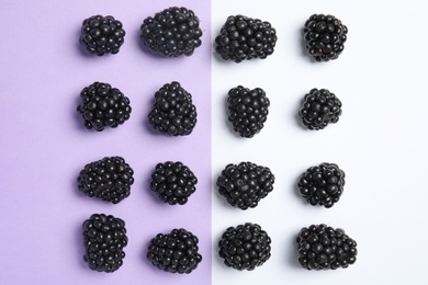 Flat lay composition with ripe blackberries on color background