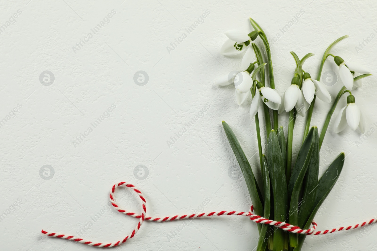 Photo of Beautiful snowdrops with traditional cord martisor on white background, flat lay and space for text. Symbol of first spring day