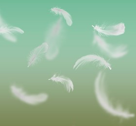 Image of Fluffy bird feathers falling on color background