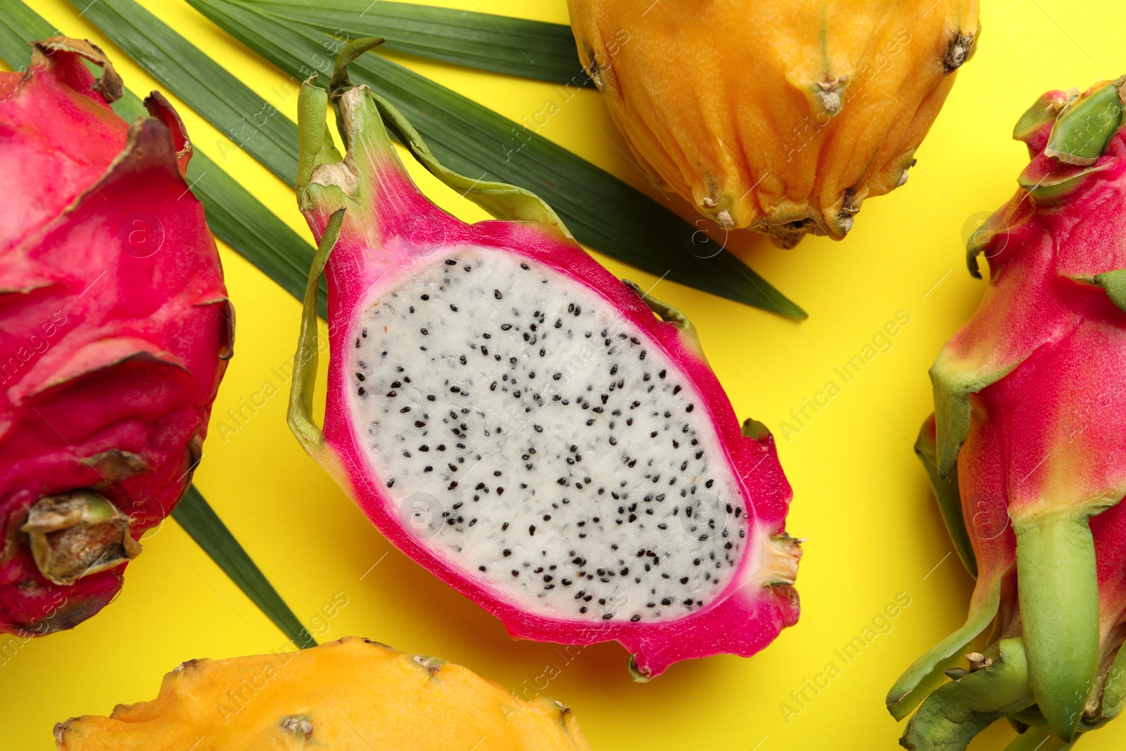 Photo of Different pitahaya fruits with palm leaf on yellow background, flat lay