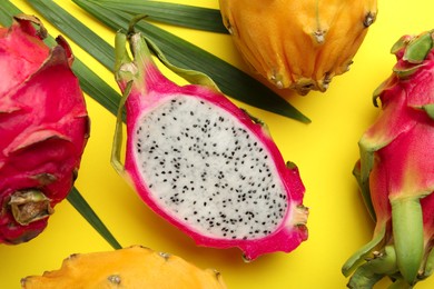 Photo of Different pitahaya fruits with palm leaf on yellow background, flat lay