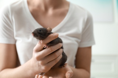 Young woman holding cute small rat, closeup