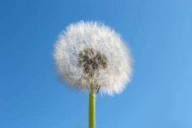 Photo of One beautiful fluffy dandelion flower against blue sky, closeup