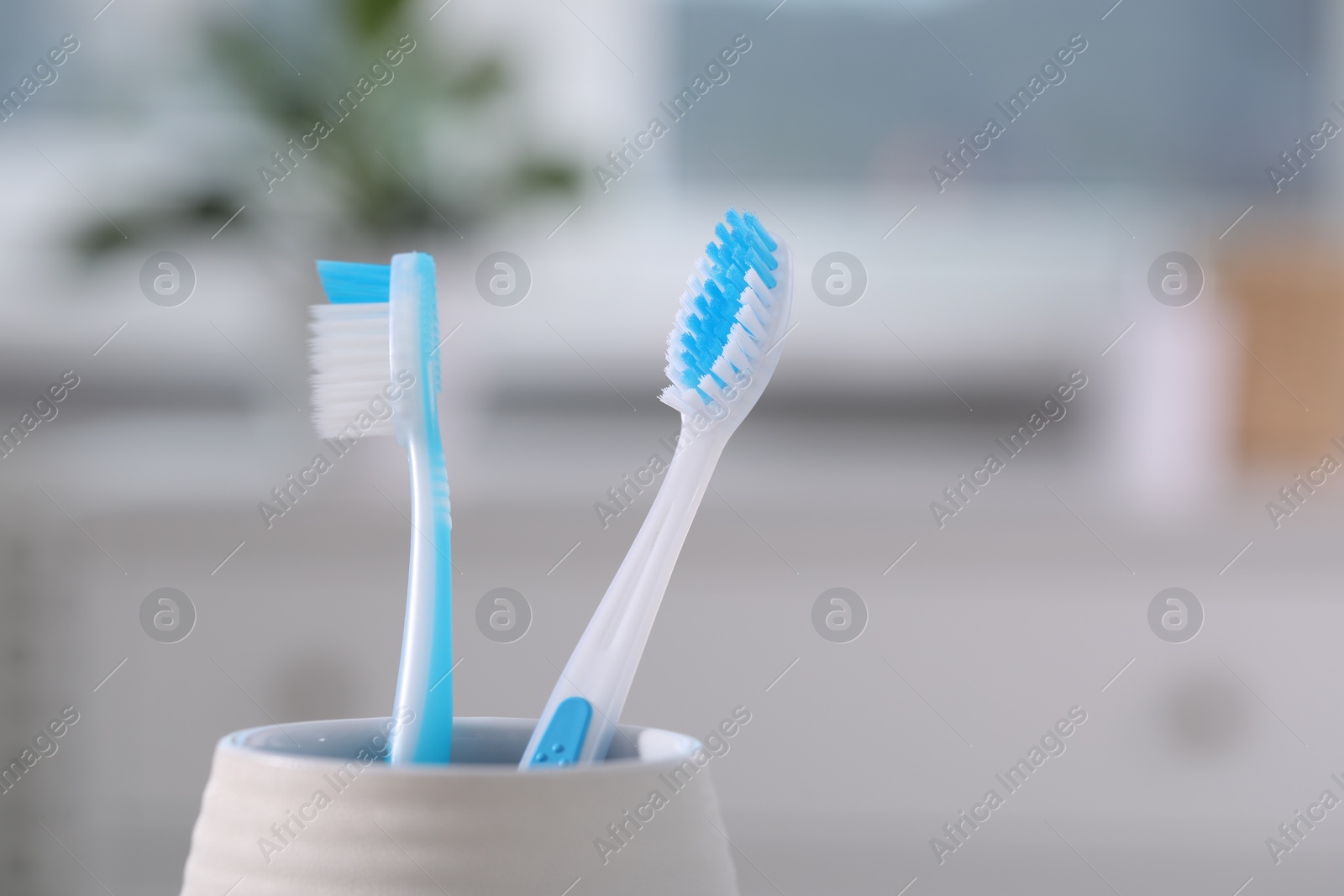 Photo of Plastic toothbrushes in holder on blurred background, closeup. Space for text