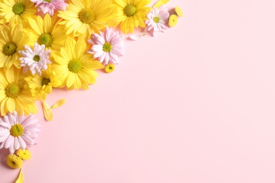 Photo of Beautiful chamomile flowers on color background, flat lay with space for text