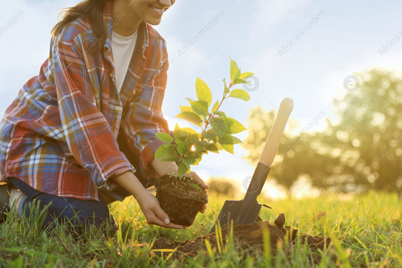 Photo of Woman planting tree in countryside, closeup view