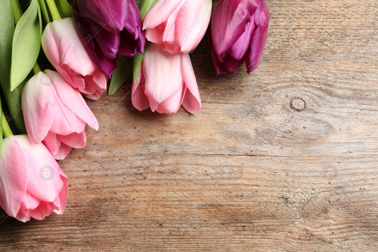 Photo of Beautiful spring tulips on wooden background, space for text. International Women's Day