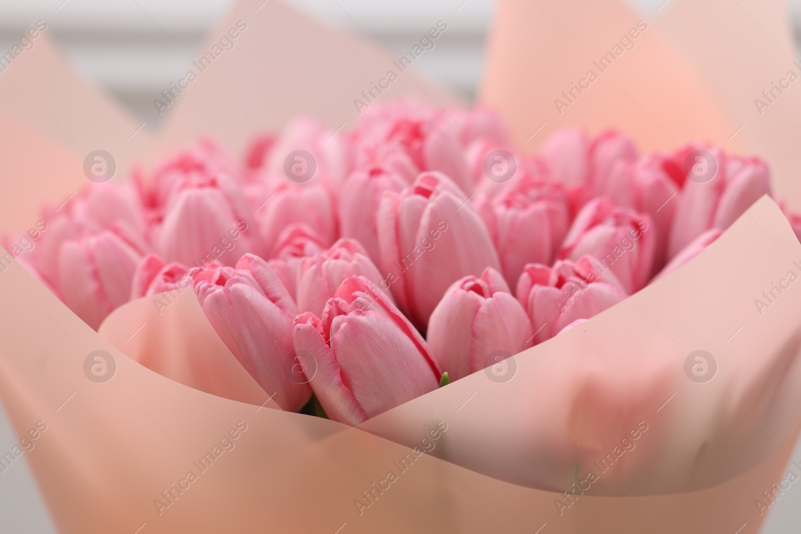 Photo of Bouquet of beautiful pink tulips near white wall, closeup