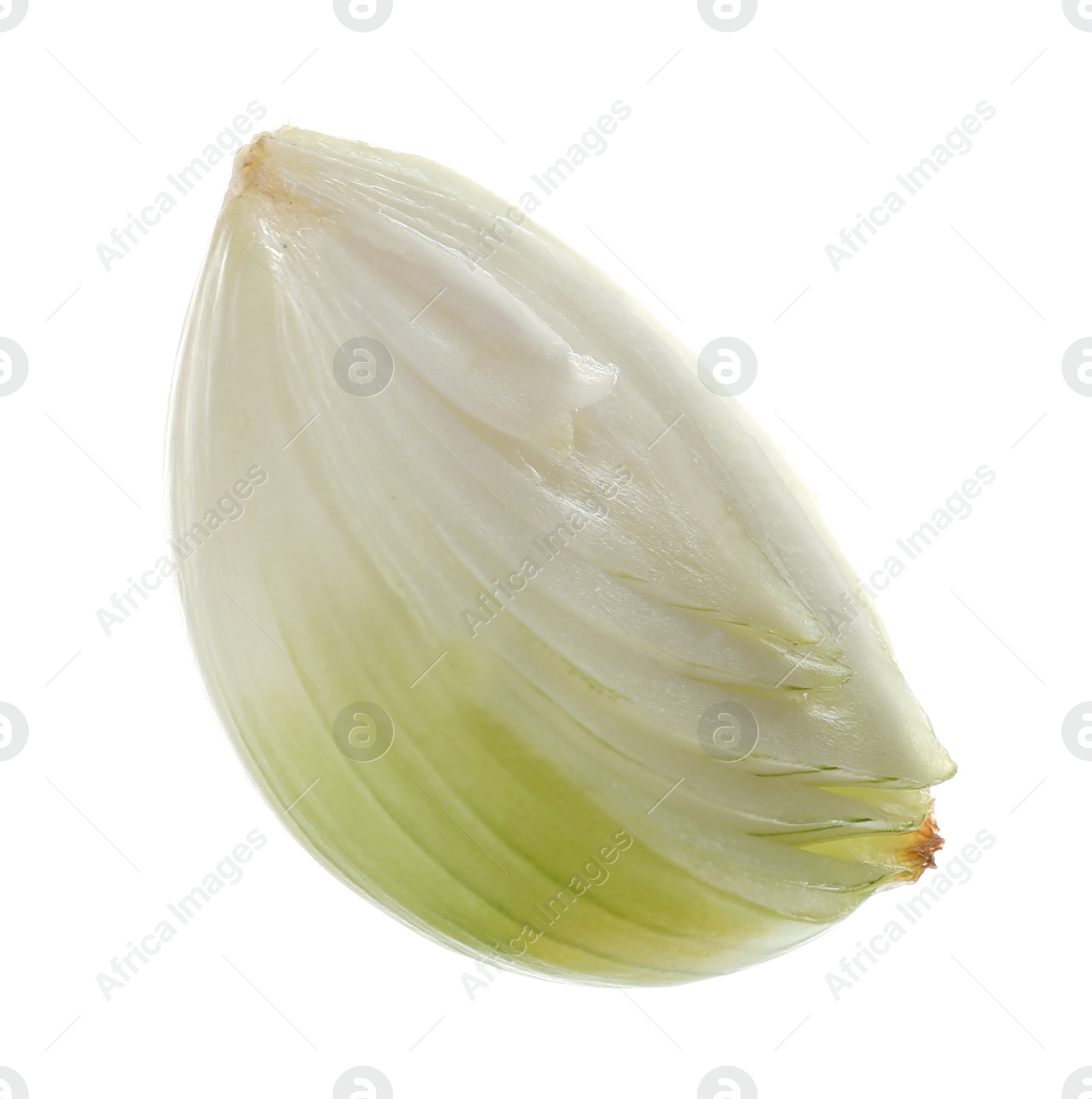 Photo of Slice of fresh ripe onion on white background