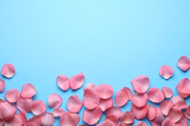 Beautiful pink rose flower petals on light blue background, flat lay. Space for text