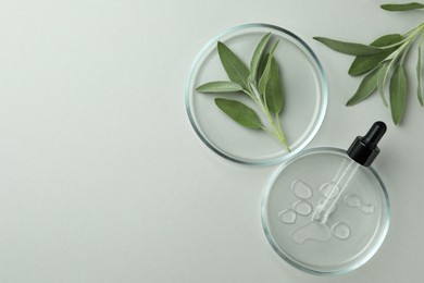 Photo of Flat lay composition with Petri dishes and sage on light grey background. Space for text