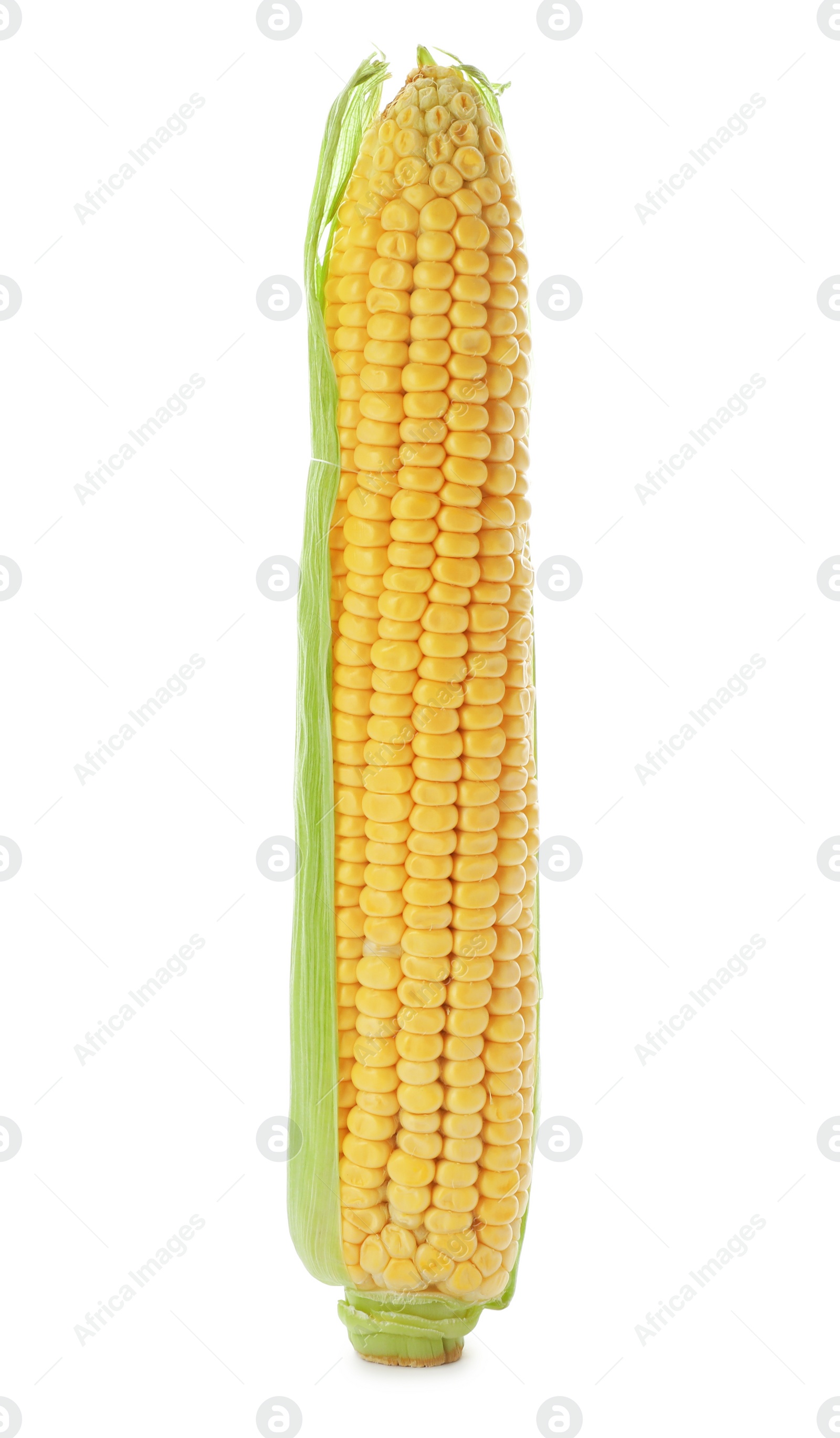 Photo of Tasty sweet corn cob on white background