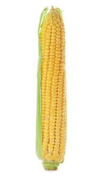 Photo of Tasty sweet corn cob on white background