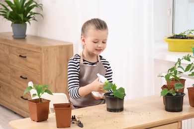 Photo of Cute little girl spraying seedling in pot at wooden table in room