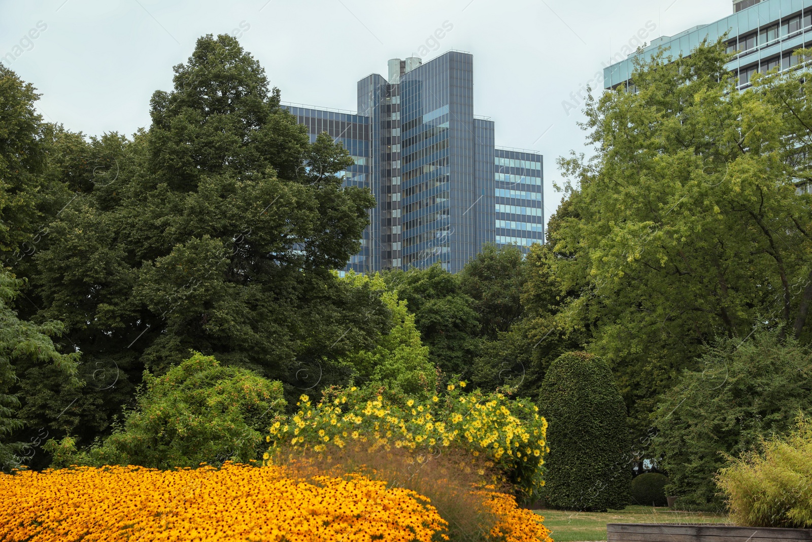 Photo of Beautiful view of buildings and green trees in city