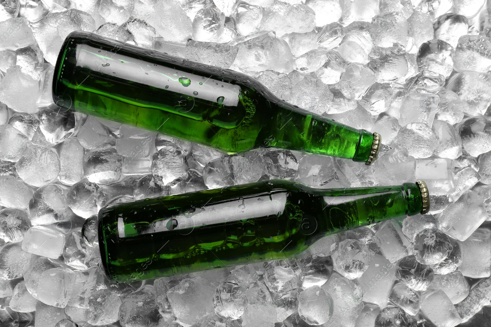 Photo of Bottles of beer on ice cubes, flat lay