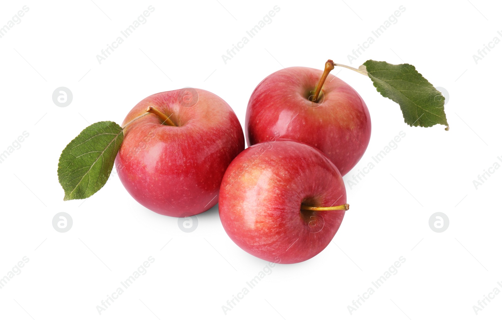 Photo of Fresh ripe red apples isolated on white