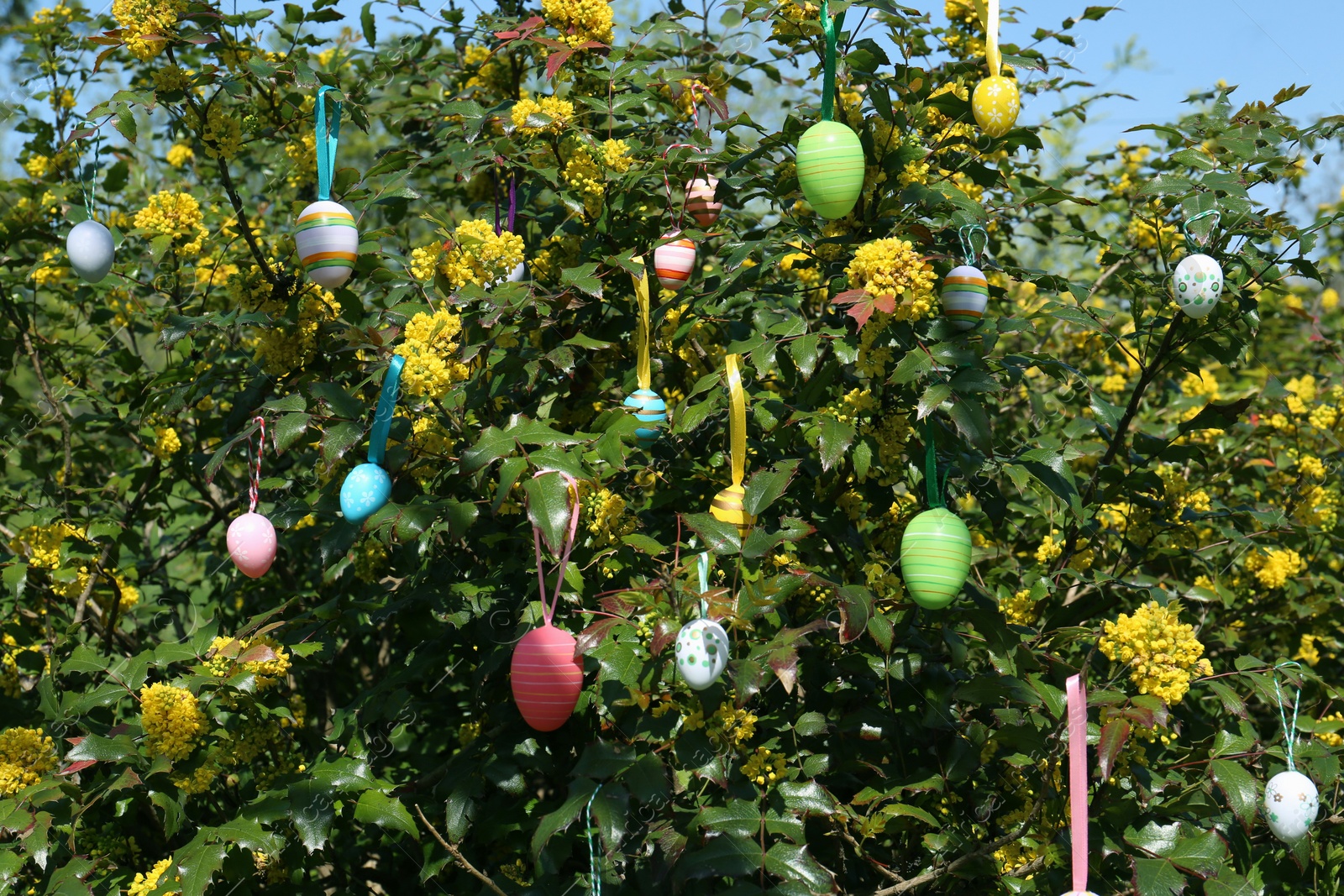 Photo of Beautifully painted Easter eggs hanging on tree outdoors