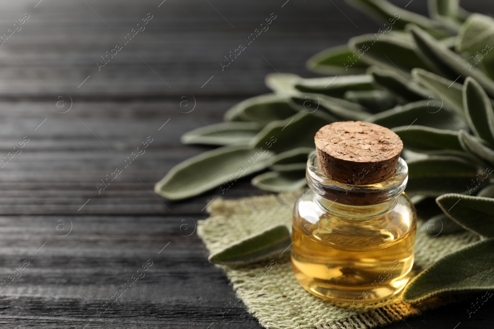 Photo of Bottle of essential sage oil and twigs on grey wooden table, closeup. Space for text
